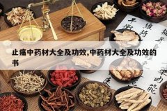 <b>ֹʹ��ҩ�Ĵ�ȫ����Ч,��ҩ�Ĵ�ȫ����Ч����</b>