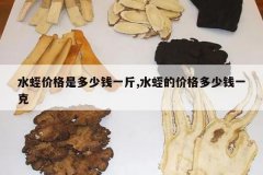 <b>ˮ�μ۸��Ƕ���Ǯһ��,ˮ�εļ۸����Ǯһ��</b>