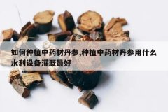 <b>�����ֲ��ҩ�ĵ���,��ֲ��ҩ�ĵ�����ʲôˮ���豸������</b>