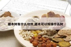 <b>��ľ����ʲô��Ч,��ľ���Լ޽�ʲô��</b>