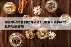 <b>��Щ��ҩ�Ĳ���׳�ǹ�Ч��,��Щ��ҩ�Ĳ���׳�ǹ�Ч����</b>