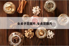 <b>Ů���ӻ�ͼƬ,Ů�껨ͼƬ</b>