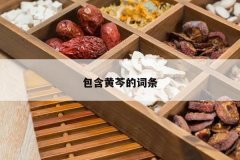 <b>�������˵Ĵ���</b>