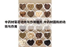 <b>��ҩ�ľջ���Ч������ͼƬ,��ҩ����µĹ�Ч������</b>