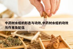 <b>��ҩ��ˮ�ε���̬�빦Ч,��ҩ��ˮ�εĹ�Ч�����ü�����</b>