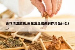 <b>�������½���,�������½��Ҹ�������ʲô?_?</b>