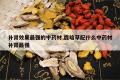 <b>����Ч����ǿ����ҩ��,¹�ϲ���ʲô��ҩ�Ĳ�����ǿ</b>