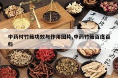 <b>��ҩ�����㹦Ч������ͼƬ,��ҩ����ٶȰٿ�</b>