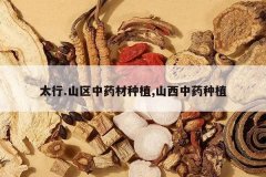 <b>̫��.ɽ����ҩ����ֲ,ɽ����ҩ��ֲ</b>