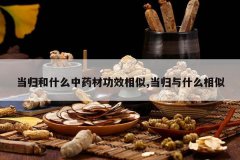 <b>�����ʲô��ҩ�Ĺ�Ч����,������ʲô����</b>