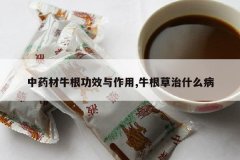 <b>��ҩ��ţ����Ч������,ţ������ʲô��</b>