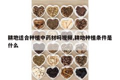 <b>�����ʺ���ֲ��ҩ������Ƶ,������ֲ������ʲô</b>