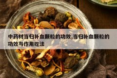 <b>��ҩ�ĵ��鲹Ѫ�����Ĺ�Ч,���鲹Ѫ�����Ĺ�Ч�����óԷ�</b>
