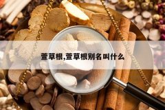 <b>��ݸ�,��ݸ�������ʲô</b>