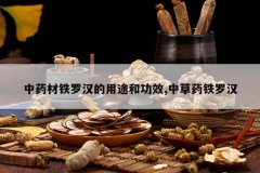 <b>��ҩ�����޺�����;�͹�Ч,�в�ҩ���޺�</b>