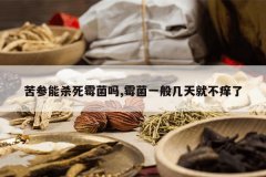 <b>�����ɱ��ù����,ù��һ�㼸��Ͳ�����</b>