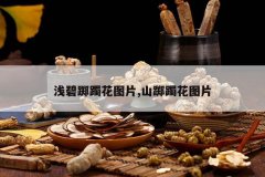 <b>ǳ�����ͼƬ,ɽ���ͼƬ</b>