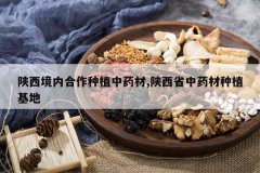 <b>�������ں�����ֲ��ҩ��,����ʡ��ҩ����ֲ����</b>