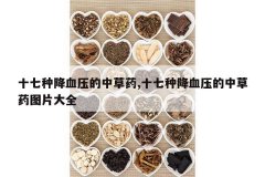 <b>ʮ���ֽ�Ѫѹ���в�ҩ,ʮ���ֽ�Ѫѹ���в�ҩͼƬ��ȫ</b>