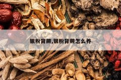 <b>���۱�ާ,���۱�ާ��ô��</b>