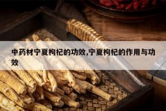 <b>��ҩ��������轵Ĺ�Ч,������轵������빦Ч</b>