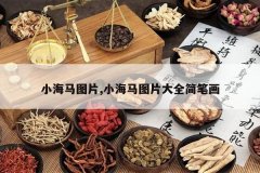 <b>С����ͼƬ,С����ͼƬ��ȫ��ʻ�</b>