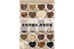 <b>��Ȼ��ͼƬ,��Ȼ�۲�</b>