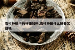 <b>ũ����ֲ��ҩ��׬Ǯ��,ũ����ֲʲô������׬Ǯ</b>