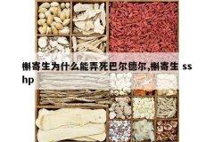 <b>�μ���Ϊʲô��Ū���Ͷ��¶�,�μ��� sshp</b>