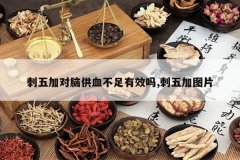 <b>����Ӷ��Թ�Ѫ������Ч��,�����ͼƬ</b>