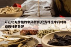 <b>���ڱ�����ֲ����ҩ����,������ֲ��ҩ����Щҩ��ǰ����</b>