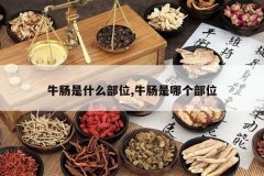 <b>ţ����ʲô��λ,ţ�����ĸ���λ</b>