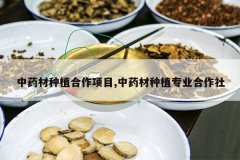 <b>��ҩ����ֲ������Ŀ,��ҩ����ֲרҵ������</b>