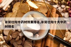 <b>����׳����ҩ��Ч������,����׳��ʮ����ҩ������</b>