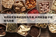 <b>��ҩ����֪ĸ�Ĺ�Ч������,��ҩ�ĳ�ǰ�ӹ�Ч������</b>