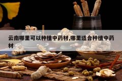 <b>�������������ֲ��ҩ��,�����ʺ���ֲ��ҩ��</b>