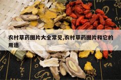 <b>ũ���ҩͼƬ��ȫ����,ũ���ҩͼƬ��������;</b>