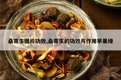 <b>ɣ����ͼƬ��Ч,ɣ�����Ĺ�Ч������ƻ����</b>