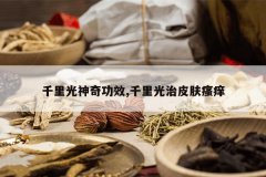 <b>ǧ������湦Ч,ǧ�����Ƥ������</b>