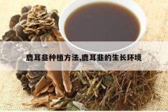 <b>¹������ֲ����,¹���µ���������</b>