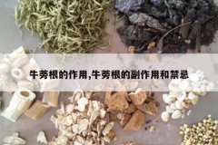 <b>ţ���������,ţ����ĸ����úͽ���</b>