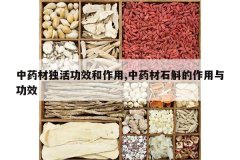 <b>��ҩ�Ķ��Ч������,��ҩ��ʯ���������빦Ч</b>