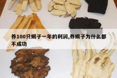 <b>��100ֻЫ��һ�������,��Ы��Ϊʲô�����ɹ�</b>