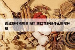 <b>���컨��ֲ�����չ�,���컨����ʲôʱ����ֲ</b>