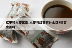 <b>����ʹ�������,�����������ʲô����?�ٶȰٿ�</b>