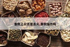 <b>�㸽�ϻ���ȥ��,�㸽������</b>