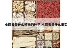 <b>С������ʲôֲ�������,С������ʲô��ʵ</b>