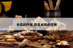 <b>ľ�ϵ�����,Ұ��ľ�ϵ�����</b>