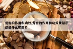 <b>���ݵ����ú͹�Ч,���ݵ����ú͹�Ч������֢��ʲô��ͼƬ</b>