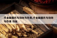 <b>ǧ����ͼƬ�빦Ч������,ǧ����ͼƬ�빦Ч������ ��Ѫ</b>